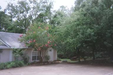 Main picture of 2405 Silver Palm Ln