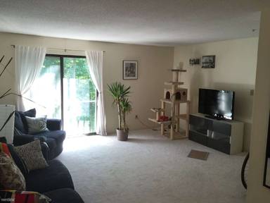 Main picture of 52 Village Brook Ln