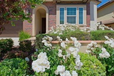 Main picture of 6536 Terrace Ridge Ct