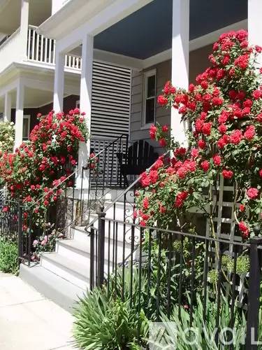 Main picture of 36 Saint Margaret St