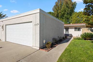 Main picture of 3840 Cinnamon Way