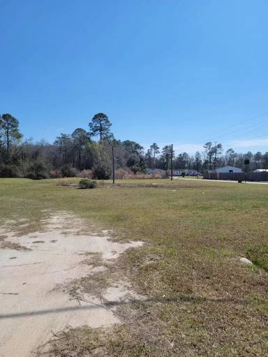 Main picture of Magnolia Park