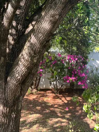 Main picture of 639 Lightspun Ln