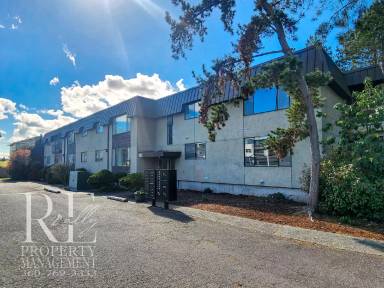 Main picture of 500 Lebo Blvd