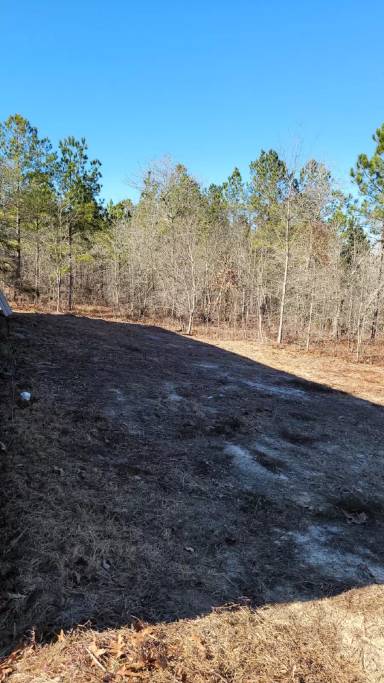 Main picture of 684 Boy Scout Rd