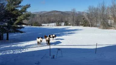 Main picture of 133 Notch Rd