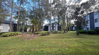 Main picture of 185 Waterfall Way