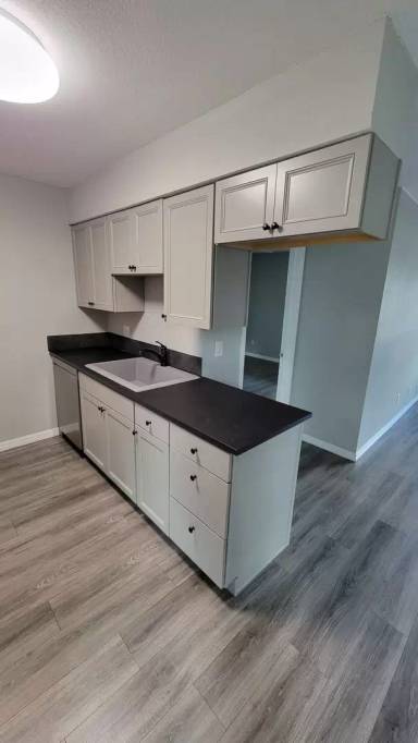 Main picture of 217 Thorn Tree Pl