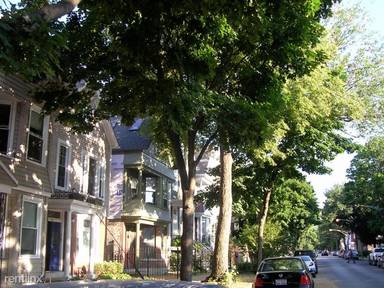 Main picture of 3243 N Hoyne Ave