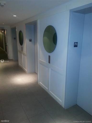 Main picture of The Ivy