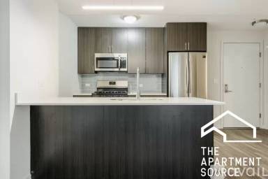 Main picture of 1325 N Wells Apartments