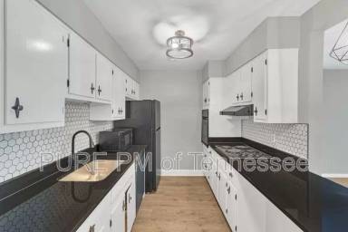 Main picture of 1302 Doctor Martin Luther King Jr Blvd