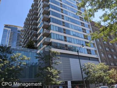 Main picture of 1345 S Wabash Condos