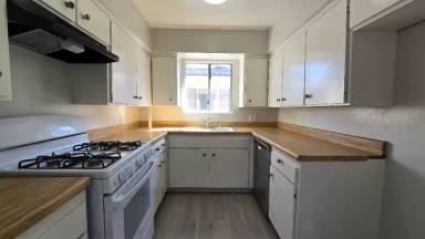 Main picture of 531 S Shelton St