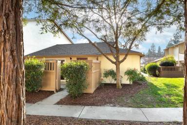 Main picture of 1971 Olmo Way