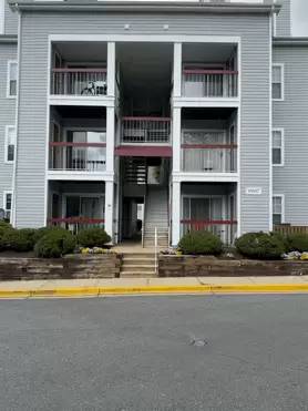 Main picture of 9907 Boysenberry Way
