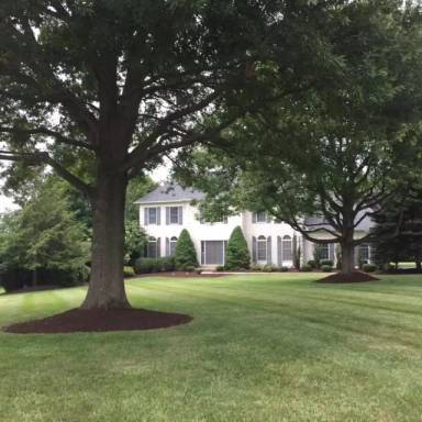 Main picture of 663 Casey Ln