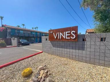 Main picture of The Vines
