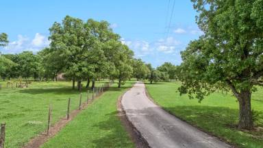 Main picture of 4150 Turk Ranch Rd