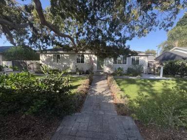 Main picture of 223 Lillian Pl
