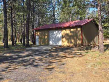 Main picture of 14665 Bluegrass Loop