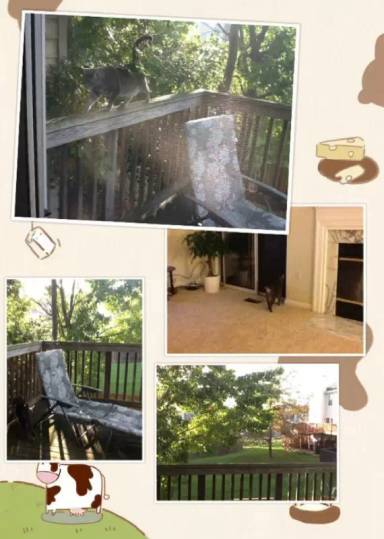 Main picture of 7820 Greenbrook Dr