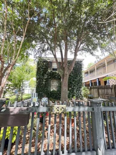 Main picture of 432 Race St