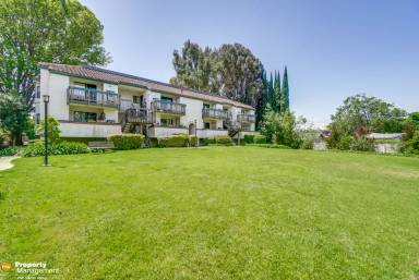 Main picture of 712 San Conrado Ter
