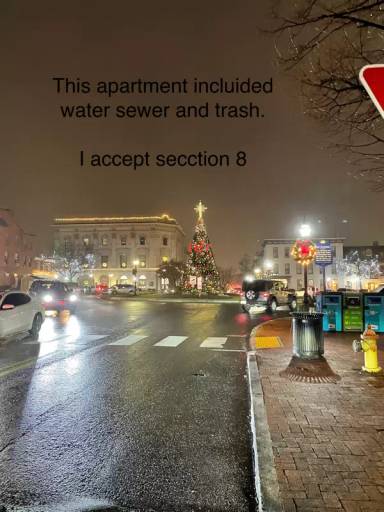 Main picture of 241 York St