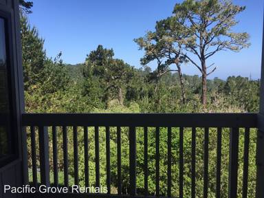 Main picture of 33 Shepherds Knls