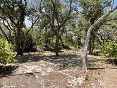 Main picture of 2401 Mesquite