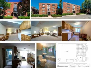 Main picture of 9 Chester St