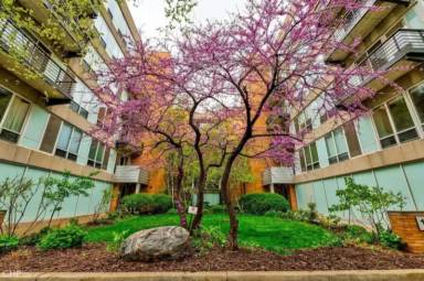 Main picture of 1430 S Michigan Ave