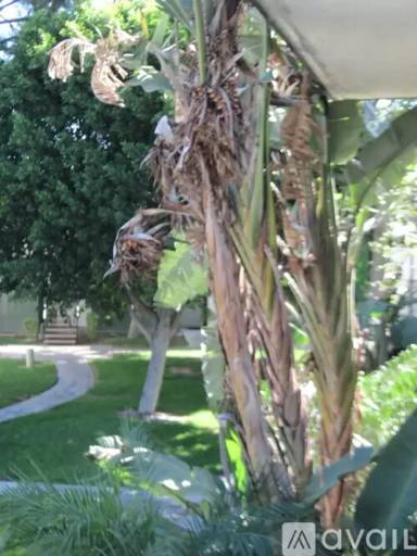 Main picture of 3802 W Jacinto View Rd