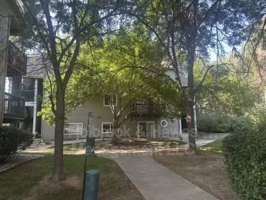 Main picture of Pier Apartments
