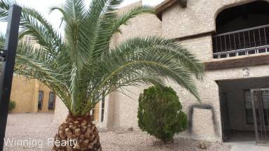 Main picture of 4650 Koval Ln Apartments