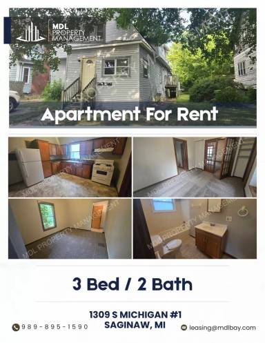 Main picture of 1309 S Michigan Ave