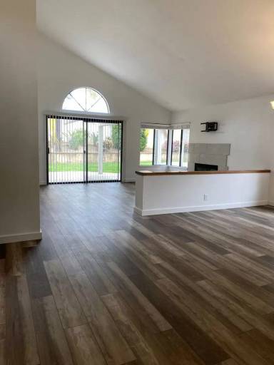 Main picture of 2 Sarracenia