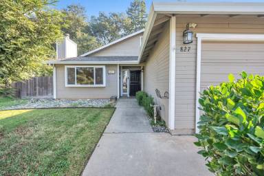 Main picture of 827 Stetson Way