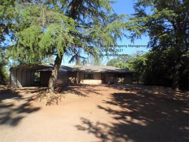 Main picture of 151 Skycreek Ct