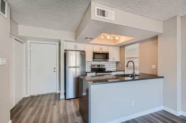 Main picture of Rise on Cactus