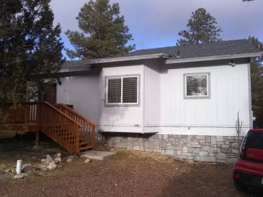 Main picture of 1976 Christmas Pine Cir