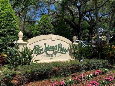 Main picture of Evergreen Six