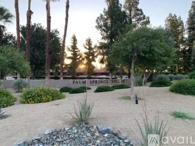 Main picture of Palm Springs Oasis