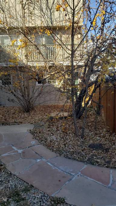 Main picture of 1609 Cottonwood Dr