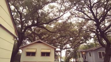 Main picture of 260 Forrest Ave