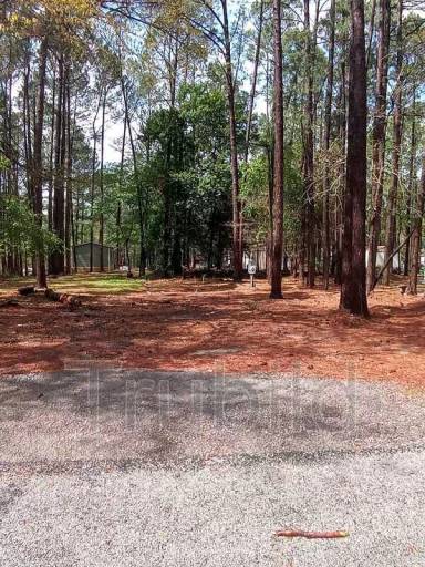Main picture of 242 Bent Tree Cir