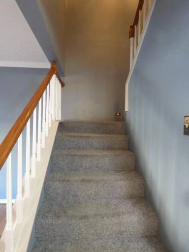 Main picture of 541 W Short St