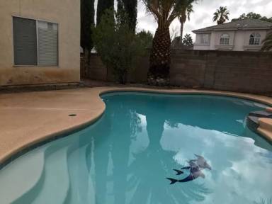 Main picture of 2929 Domino Way