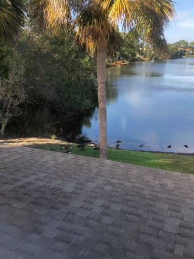 Main picture of 9901 Regency Square Blvd